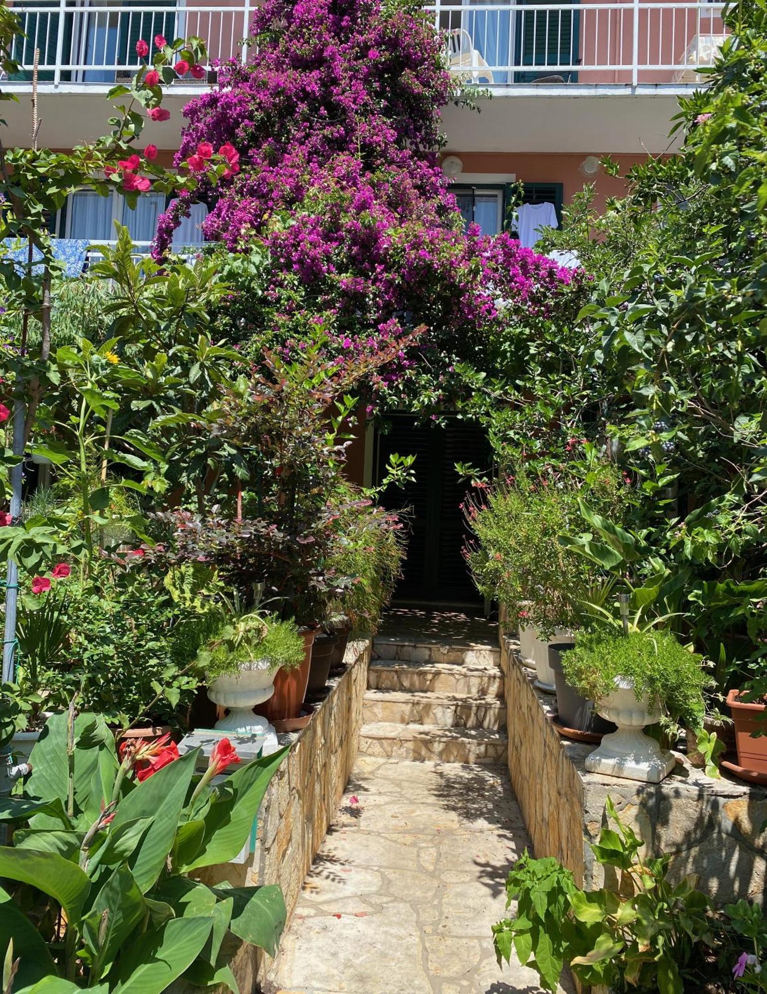Apartmani Dusanka Orebic Exterior photo